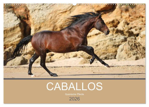 Caballos spanische pferde 2026 - spanische,