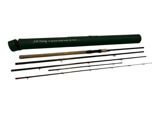 Young specimen barbel - 1x,