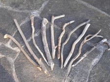 10x besondere Skulptur Schwemmholz Treibholz Figur Tier Schlange Deko  38-59 cm