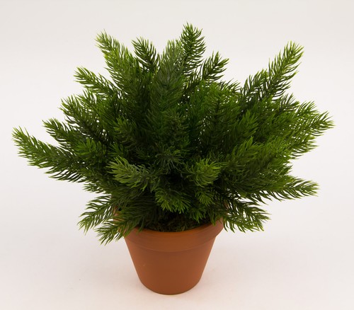 Tannenbusch 25cm ohne topf - 25cm, topf-