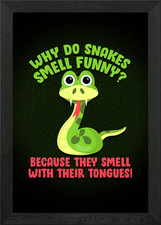 Ophiology Haustier Schlangen