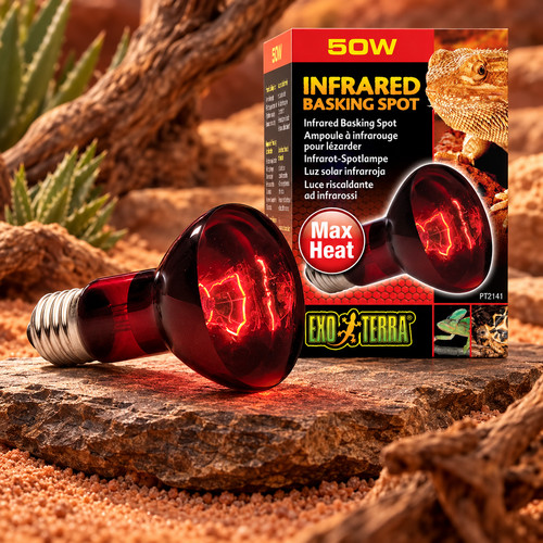 Exo terra infrared basking - infrared,