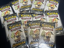 Pokemon Echo des Donners Sonne