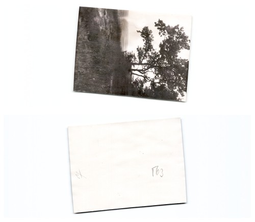 Westerplatte - ,