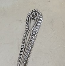 klein winzig Salzlöffel