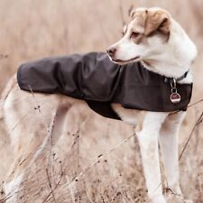 Scippis Dri Tec Dog Coat