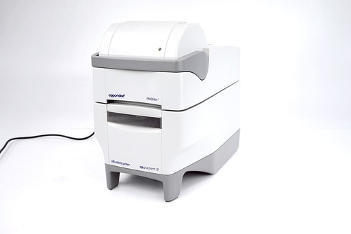 Eppendorf realplex qpcr - 4,