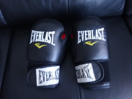 Everlast leder training - ,