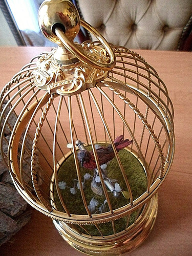 Singvogelkäfig bontems - singvogelkäfig,