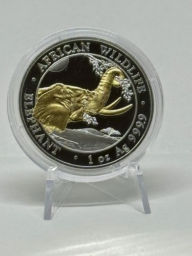 2023 silber african - african, wildlife