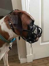 Licht Leder Hund Maulkorb Für