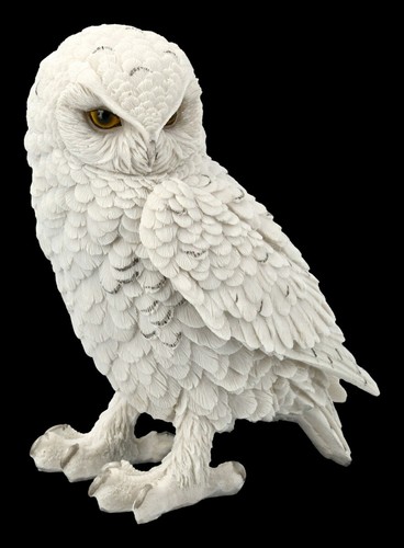 Schneeeulen figur snowy - figur,