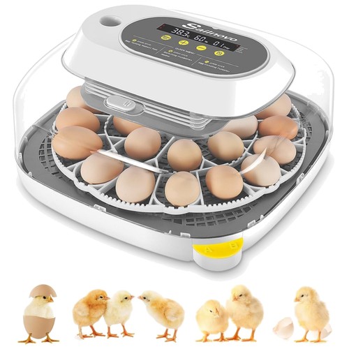 Brutautomat eier incubator - eier,