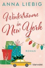 Winterträume new york - in,