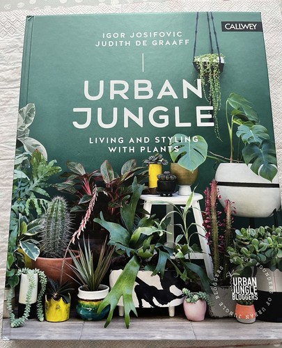 Urban jungle living and - jungle/,