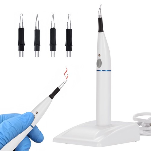 Dental endo gutta percha - percha, tooth