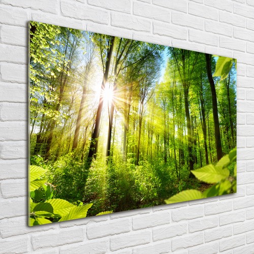 Glas bild wandbilder - wandbilder, druck