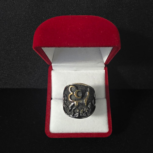 Siegelring 925 silber - siegelring,