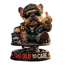 Too Old to Care Armaturenbrett