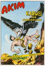 Piccolo-Sonderband Nr. 43 -