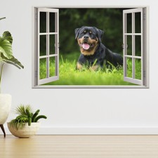 Rottweiler Hund liegend auf