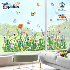 Fensterbilder Blumenwiese