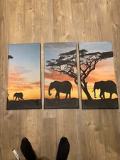 Elefanten Sonnenuntergang