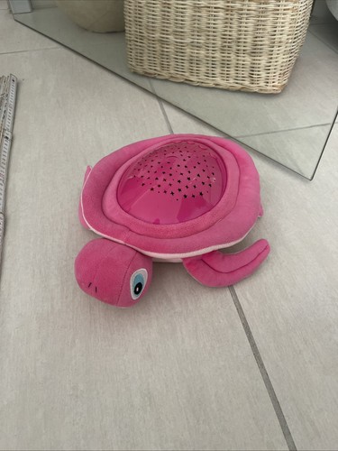 Schildkröte als nachtlampe - schildkröte,