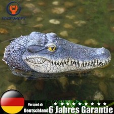 Schwimmender Krokodilkopf