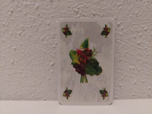 Candamir die ersten siedler - -,