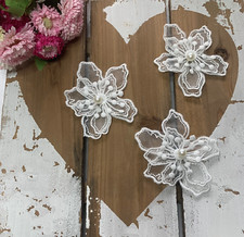 Spitzenapplikation Spitze