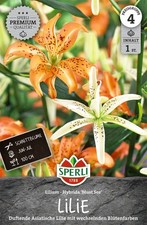 Premium lilie must see - premium,