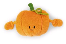 Mini MagNICI Kürbis, NICI