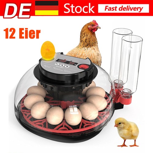 Eier inkubator brutapparat - inkubator,