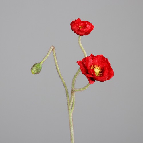 Dpi kunstblume mohn cm - kunstblume, 80