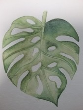 Aquarellmalerei, Blattmotiv