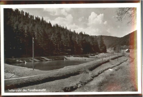 Altensteig schwarzwald - altensteig,