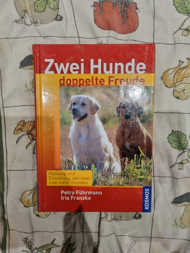 Zwei hunde doppelte - hunde, freude