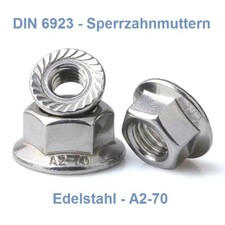 Sperrzahnmutter Flanschmuttern