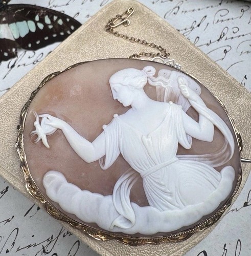 Psyche mit schmetterling - psyche,