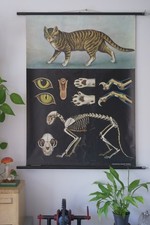 VINTAGE | SCHULWANDKARTE