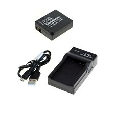 Akku und USB Ladegerät für Panasonic Lumix DC-G100 DC-G110 DC-GX9 DMC-GX80