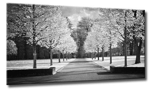 Leinwand bild infrarot - bild,