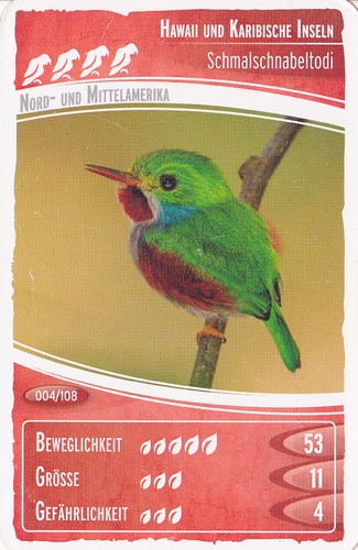 Netto ozeanien - netto,