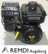 Briggs & Stratton Motor ca