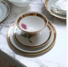 Schöne Sammeltasse Winterling, Röslau Bavaria , mit Gebrauchsspuren