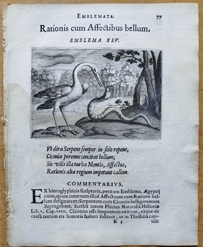 Rationis schoonhovius de - rationis, schoonhovius/c.