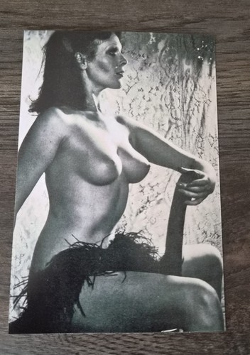 Elisabeth volkmann tolles - volkmann,,