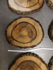 gestockte Nussbaum Baumscheibe