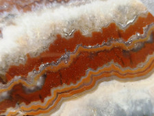 80g Korallen ACHAT Halsbach